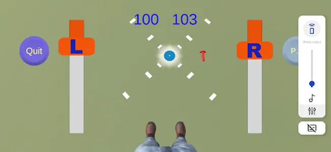 Target Skydiving screenshot 5