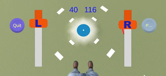 Target Skydiving screenshot 6