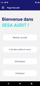 SESA AUDIT screenshot 0