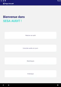 SESA AUDIT screenshot 4