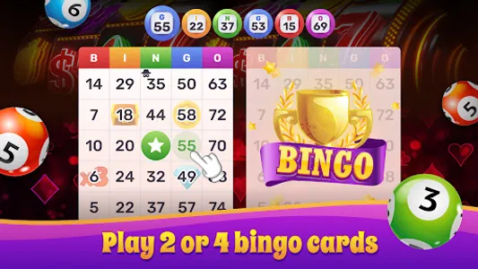 Bingo Lotto: Win Lucky Number screenshot 12