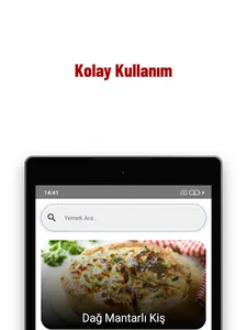 Fransa Yemek Tarifleri screenshot 20