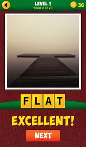 4 Pics 1 Odd: More Words screenshot 5