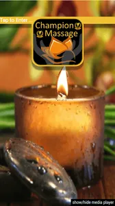 Champion Massage screenshot 0