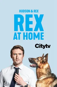 Hudson & Rex: Rex at Home screenshot 4