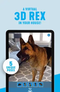 Hudson & Rex: Rex at Home screenshot 9