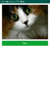 Cats Images screenshot 1