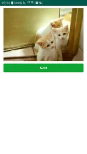 Cats Images screenshot 2