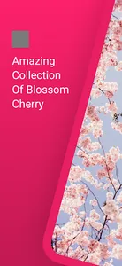 Blossom Cherry Wallpaper screenshot 0