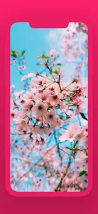Blossom Cherry Wallpaper screenshot 7