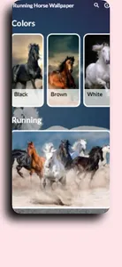 Running Horse Wallpaper screenshot 2