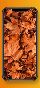 Beautiful Fall Wallpapers 4K screenshot 6