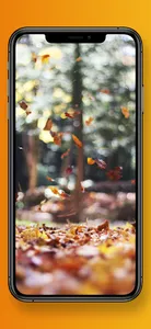 Beautiful Fall Wallpapers 4K screenshot 7