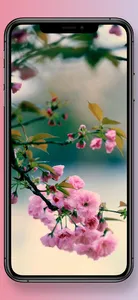 Aesthetic Flower Wallpapers screenshot 3
