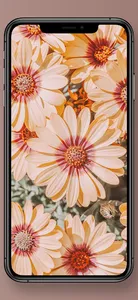 Aesthetic Flower Wallpapers screenshot 5