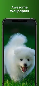 Cute Puppy Wallpapers screenshot 2