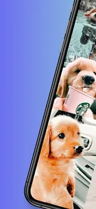 Cute Puppy Wallpapers screenshot 4