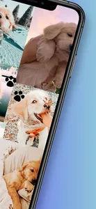 Cute Puppy Wallpapers screenshot 5