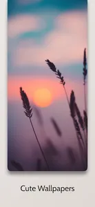 Amazing Sunset Wallpaper 4k screenshot 1