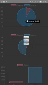 Money , Income , Expenses - Ex screenshot 2