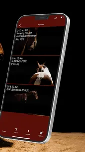 Jumping Nîmes Centaure screenshot 2