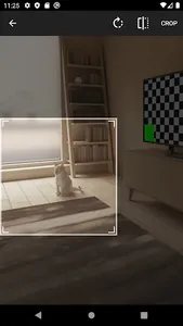 Tensorflow Cat and Dog Classif screenshot 3