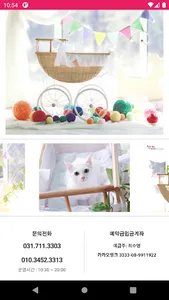 펫더제인– 반려동물과 함께하는 스튜디오 screenshot 1