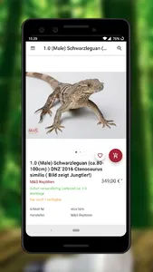 M&S Reptilien. Der Terraristik screenshot 2