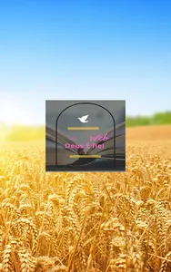RADIO DEUS E FIEL screenshot 1