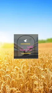 RADIO DEUS E FIEL screenshot 4