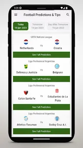 Football Prediction: Live Tips screenshot 4