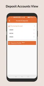 SRRJ NIDHI LTD screenshot 2
