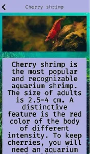 Shrimp screenshot 0
