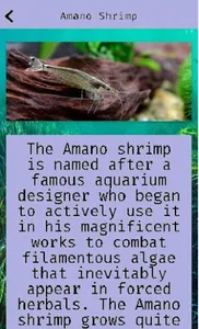 Shrimp screenshot 1