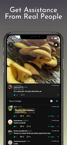 ShroomID - Identify Mushrooms! screenshot 14