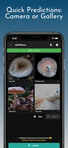 ShroomID - Identify Mushrooms! screenshot 18