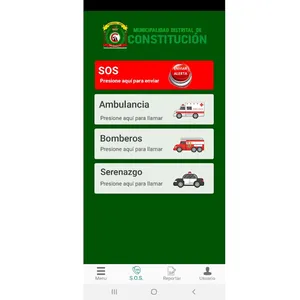 SIAE Constitucion screenshot 2