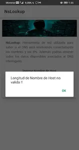 Nslookup | Get DNS info screenshot 2