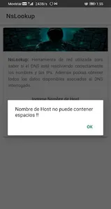 Nslookup | Get DNS info screenshot 3