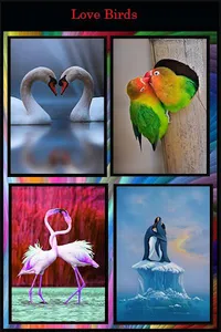 Romance Wallpaper screenshot 3