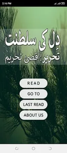 Saltant dil ki screenshot 1