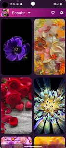 10000+ Flower Wallpapers screenshot 10