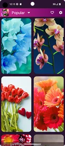 10000+ Flower Wallpapers screenshot 21