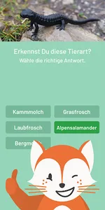 Der Fuchs auf Dux screenshot 2