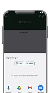 Italian - Spanish dictionary screenshot 3