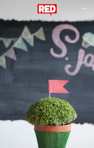 São Red screenshot 0