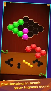 Hexa Puzzle Master screenshot 16