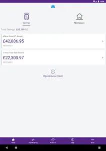 Skipton Building Society screenshot 11