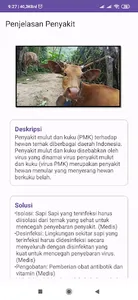 Sistem Pakar Penyakit Sapi screenshot 5