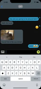 Chat Noir screenshot 0